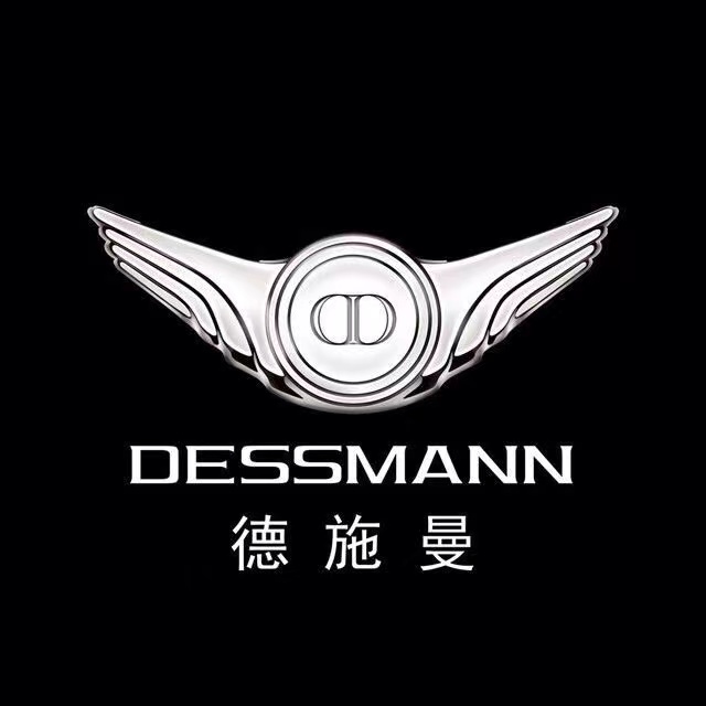 德施曼智能锁