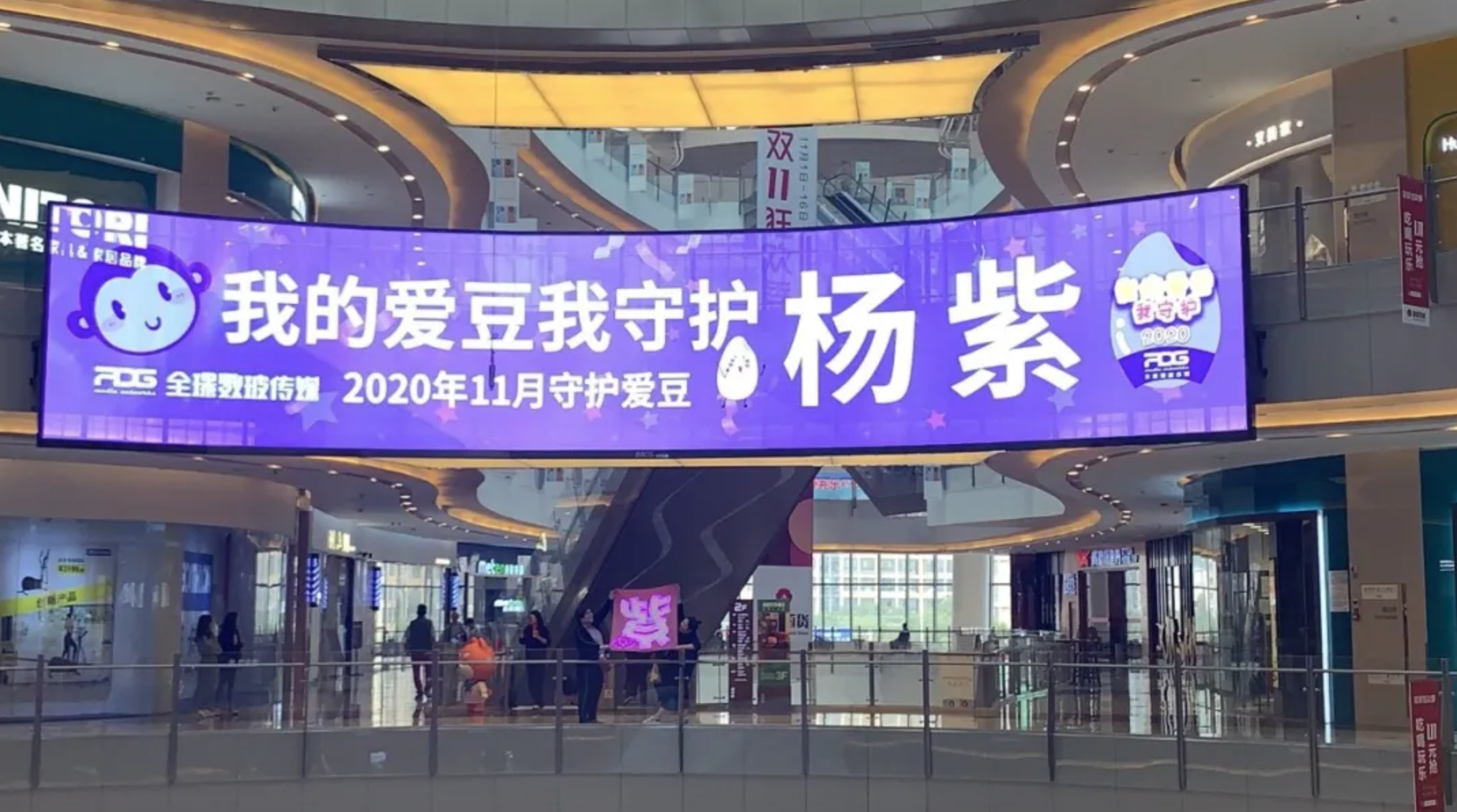 杨紫