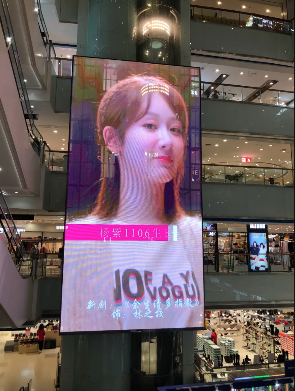 杨紫